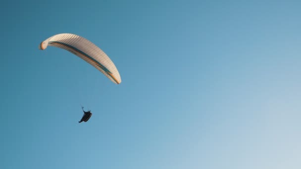 Valiente Paracaidista Volando Coloridos Paracaídas Día Soleado Verano Impresionante Vista — Vídeo de stock