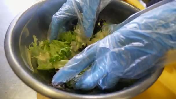 Las Manos Del Chef Guantes Goma Toman Lechuga Tazón Levantan — Vídeo de stock