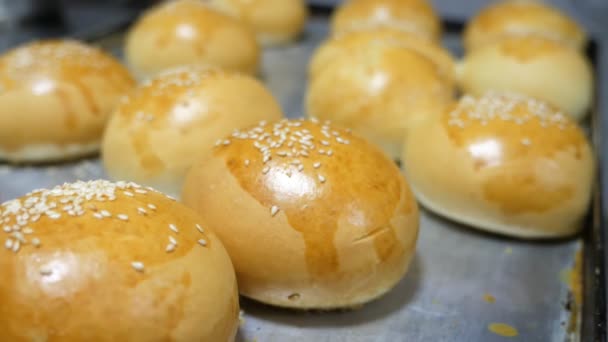 Lokantanın Mutfağında Yemek Pişiren Yuvarlak Çörekler Yapımı Taze Çörekler Lokantanın — Stok video