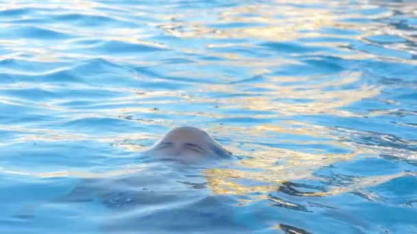 Brunette Jeune Fille Émerge Dans Piscine — Video