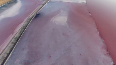 Yazın Karadeniz 'deki koyu pembe sularda düz bir kumsalın havadan çekilmiş görüntüsü Karadeniz' de yaz aylarında koyu pembe ve açık mor sularda uzanan esrarengiz çok renkli kum tükürüğünün sihirli kuş bakışı görüntüsü. Harika görünüyor..