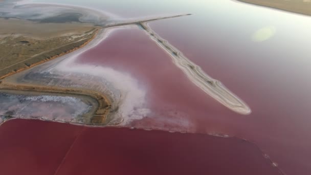 Luftaufnahme Eines Sich Windenden Sandstrandes Dunkelrosa Gewässern Schwarzen Meer Sommer — Stockvideo