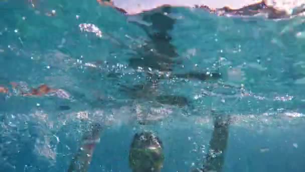 Mosolygó Fiú Úszik Víz Alatt Integet Egyik Kezét Vidáman Medencében — Stock videók
