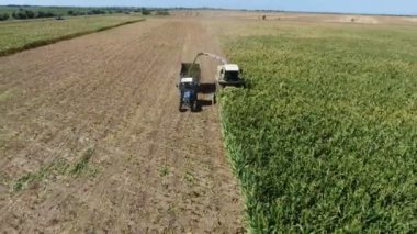 Soya fasulyelerini toplayıp traktör kutusuna koyan bir biçerdöverin havadan çekilmiş görüntüsü. Hareketli bir biçerdöver, soya fasulyesi topluyor ve yaz aylarında olgunlaşmamış bir tarlada traktör kutusuna koyuyor.