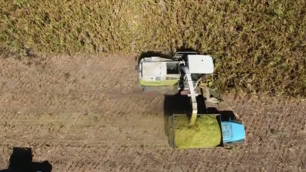 Aerial Shot Combine Harvester Cutting Soybeans Sifting Truck Box Inspiring — Stock Video