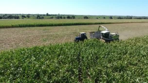 Foto Aérea Una Cosechadora Cosechadora Recolectando Soja Tamizándola Una Caja — Vídeos de Stock