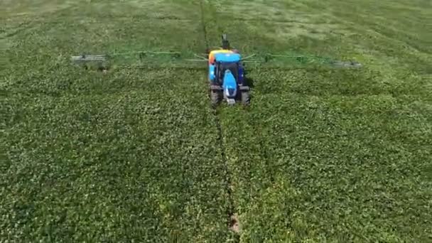 Luftaufnahme Von Riesigem Grünen Reisland Und Einem Fahrenden Traktor Mit — Stockvideo