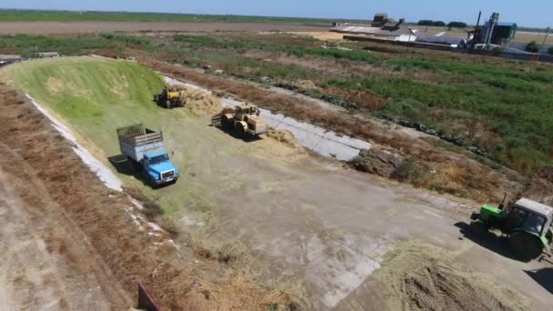 Top Shot Trator Movimento Caminhão Dozers Pressionando Ensilagem Alimentação Verde — Vídeo de Stock