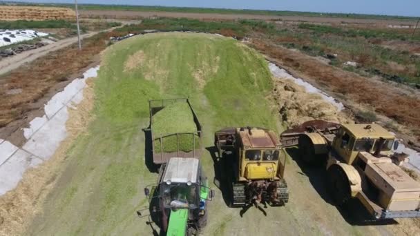 Légi Felvétel Egy Traktorról Lakókocsival Két Bikaszedővel Amint Szilázzsal Dolgoznak — Stock videók