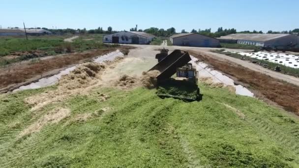 Aerial Shot Truck Emptying Its Box Two Bullsozers Working Silage — Stock Video