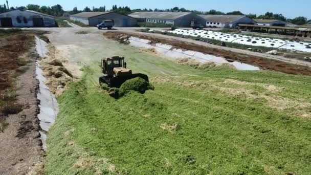 Letecký Záběr Jednoho Buldozeru Jak Letním Slunném Dni Přesouvá Zelené — Stock video