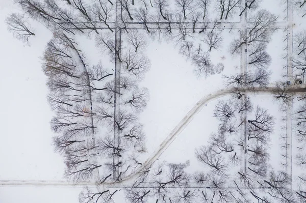 Parque de invierno. Árboles y caminos vista superior, la foto tomada en el quadcopter . —  Fotos de Stock