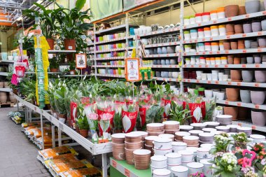 St. Petersburg, Rusya - Mart, 2019: Bir Intratuin bahçe mağazasında bitkiler