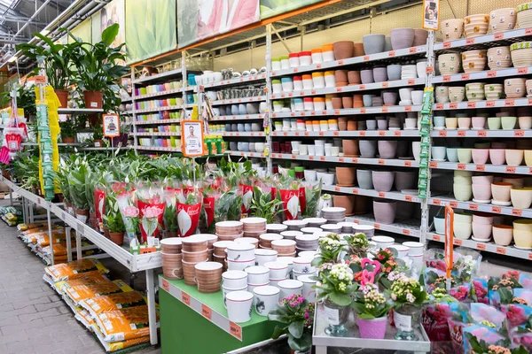 ST. PETERSBURG, RUSSIE - MARS 2019 : Plantes dans un magasin de jardin Intratuin — Photo