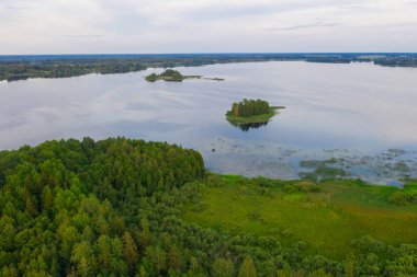 Vrevo Gölü'ndeki ada, Leningrad Bölgesi, Rusya. Rusya'nın kuzey doğası. Seyahat.