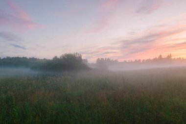 Sisli bir alanın gizemli ve romantik görünümü