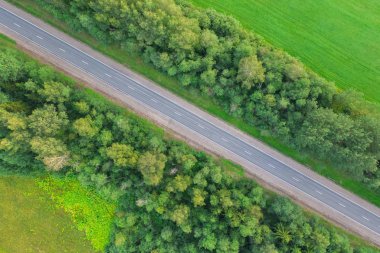 Renkli yaz ormanı hava görünümünde yol