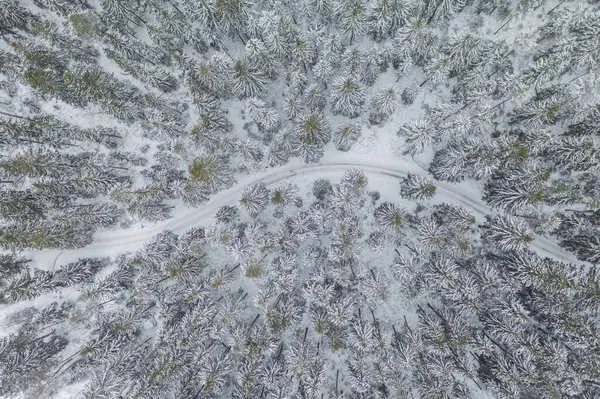 Воздушное Изображение Вершины Снежных Горных Сосен Середине Зимы — стоковое фото