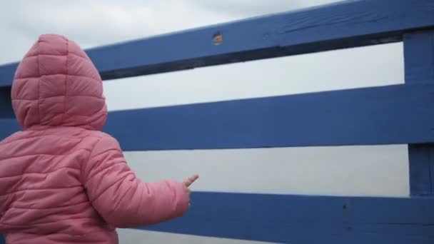 Ein kleines Mädchen geht mit ihrer Mutter in einer rosafarbenen Jacke in Großaufnahme über die Uferpromenade des Meeres — Stockvideo
