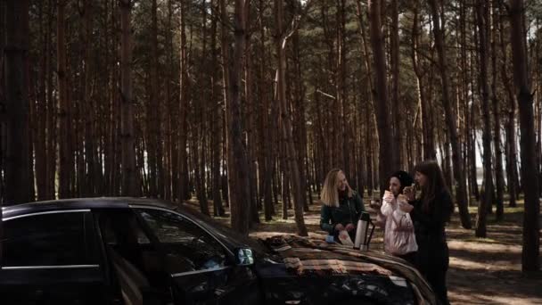 Drie jonge vrouwen die thee drinken op een picknick in het bos — Stockvideo