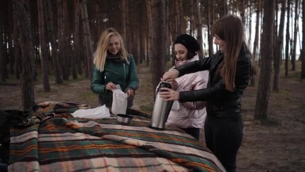 Trois jeunes femmes buvant du thé lors d'un pique-nique dans les bois près de la voiture — Video