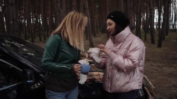 Две девушки на пикнике в лесу возле машины — стоковое видео