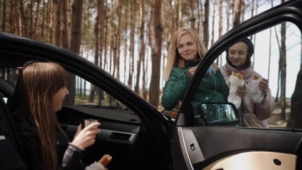 차 근처의 숲 속에서의 우정적 인 소풍 — 비디오