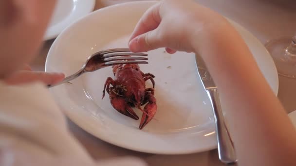 Fiú eszik egy villa vörös rák egy fehér tányéron — Stock videók