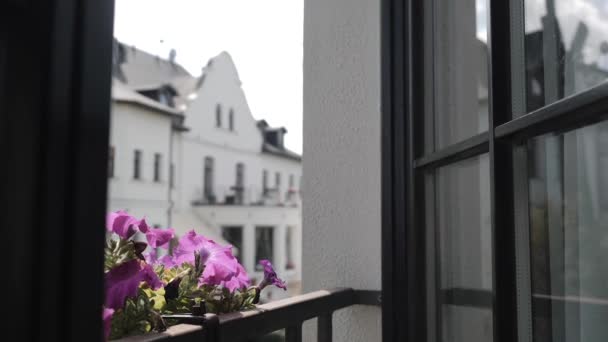 Kruka blommor växer på balkongen i det öppna fönstret — Stockvideo