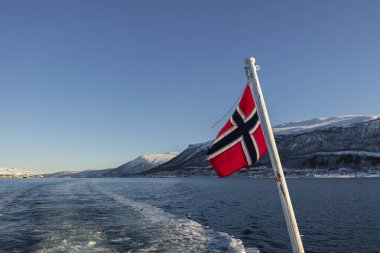 Arkasında fiyortlar olan Norveç bayrağı