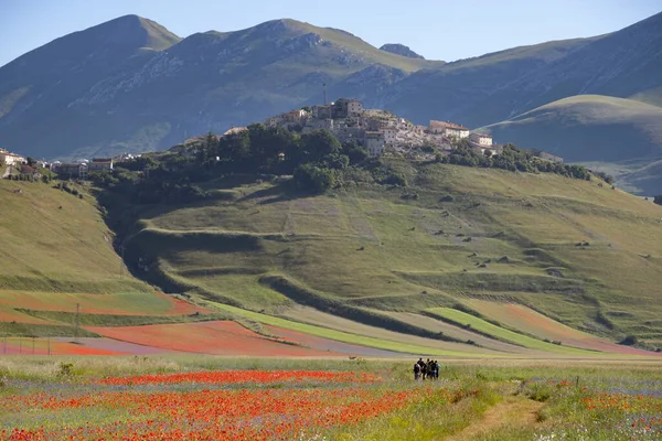 Castelluccio di Norcia, İtalya - Temmuz 2020: turistler bu renkli vadiyi ziyaret etmek için dünya çapında gelirler