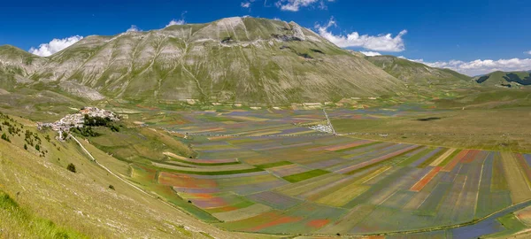 Castelluccio di Norcia, İtalya - Temmuz 2020: Soldaki kasaba 2016 depreminden ve soldaki renkli mercimek tarlalarından sonra hala yeniden inşa ediliyor