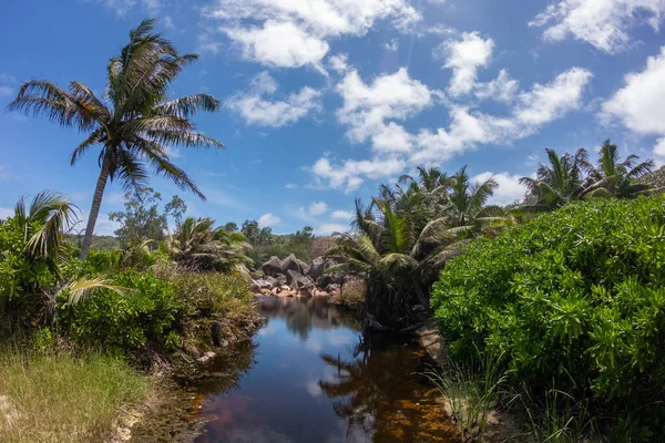 La Digue 'deki tropik manzara, Seyşeller 2019