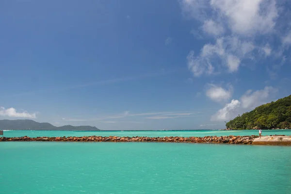 Cennete giden gevşetici köprü, Praslin, Seyşeller 2019
