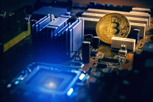 Altın bitcoin cryptocurrency üzerinde bilgisayar elektronik devre kartı., iş finansal kavramı.