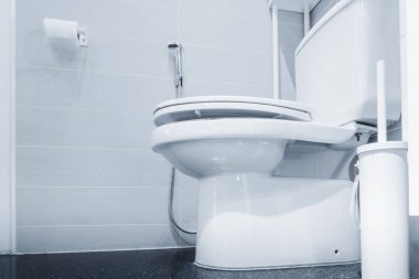 Klozet, iç dekorasyon ve tasarım.