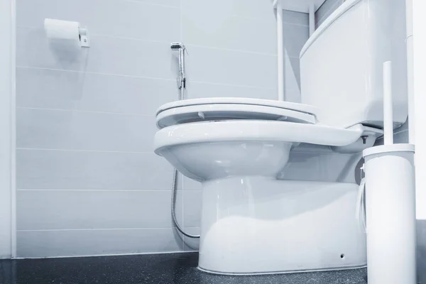 Bol Toilette Décoration Intérieure Design — Photo