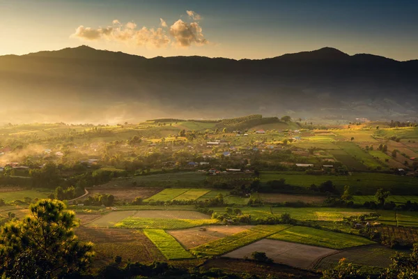 Paysage Campagne Des Champs Agricoles Coucher Soleil Campagne Naturelle — Photo