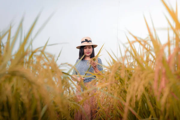 Portret Pięknej Młodej Kobiety Ryżu Pola Wschód Słońca Ładny Asian — Zdjęcie stockowe