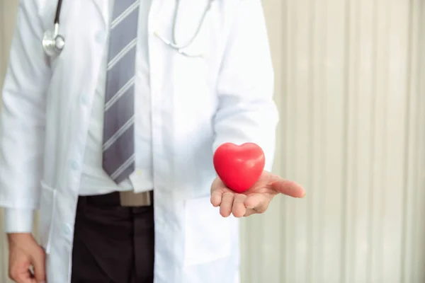 Senior male medicine doctor holding heart on abstract background., Close-up portrait of professional doctor giving red heart toy for someone., Healthcare and medicine concept.