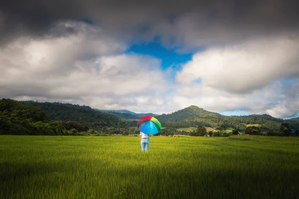 Landscape of rice fields in rainy season with woman is stand holding colorful rainbow umbrella in the scene., Beautiful of agriculture farming at cloudy weather., Portrait outdoor at countryside.