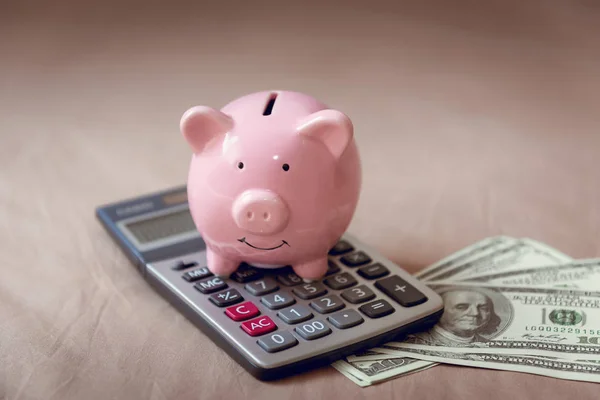 Pink Piggy Savings Money Bank With Calculator on Fabric Cover Ta