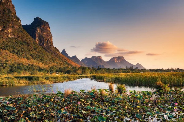 Lotus çiçekleri göl ve dağ manzarası gün batımında peyzaj, — Stok fotoğraf