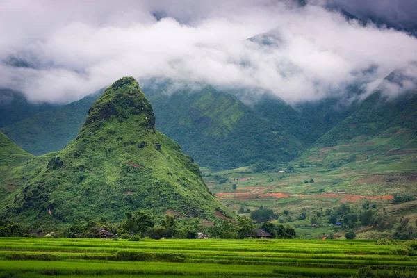 Paysage naturel des champs de riz à la campagne, Mu Cang Chai — Photo