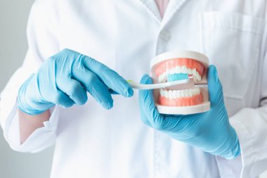 Diş Ortodonti Doktorunun Yakın Çekimi, Diş Fırçası Ile Diş Fırçası Temizliği, Sağlık ve Diş Hekimi Mesleği Kavramı.