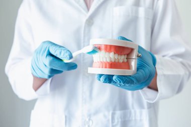 Yakın çekim Diş ortodontik doktor gösteren diş fırçası ve çene modeli talimat hasta, sağlık ve diş hekimi Işgal konsepti için diş temizleme.