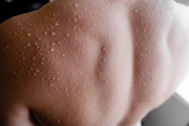 Kaslı adam su damlalarıyla geri döndü. Fitnes ve sağlık konsepti üst yatay görünüm