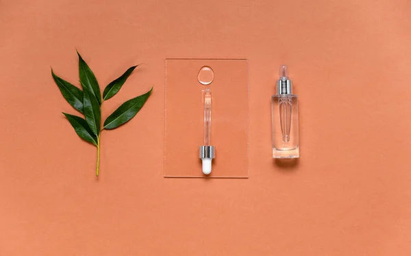 Naturliga Serum Och Ansiktsoljor Kosmetiskt Återfuktande Serum Glasflaska Med Pipett — Stockfoto