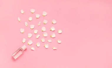 Hassas cilt bakımı kozmetik dişi bezi. Yüz kreminin, şişelerin ve kavanozların soyut arka planda kozmetik ve çiçek yapraklarının yaratıcı bileşimi.