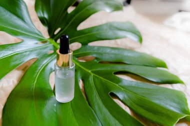 Doğal Serumlar. Cam bir şişede pipetli kozmetik hidratasyon serumu. Soyut arkaplan üzerinde Hyaluronic asit üst yatay telif uzayı